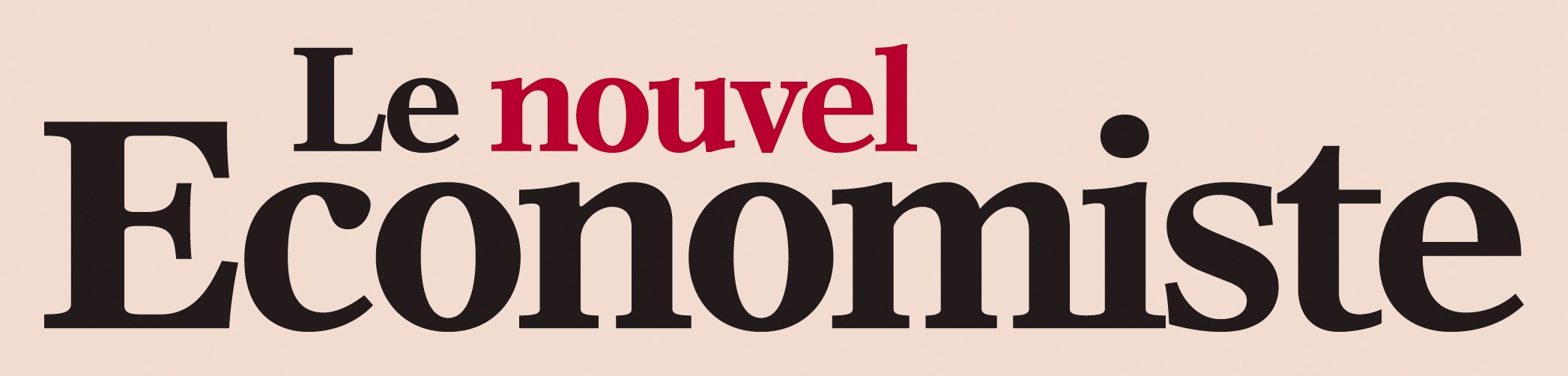 le-nouvel-economiste-logo